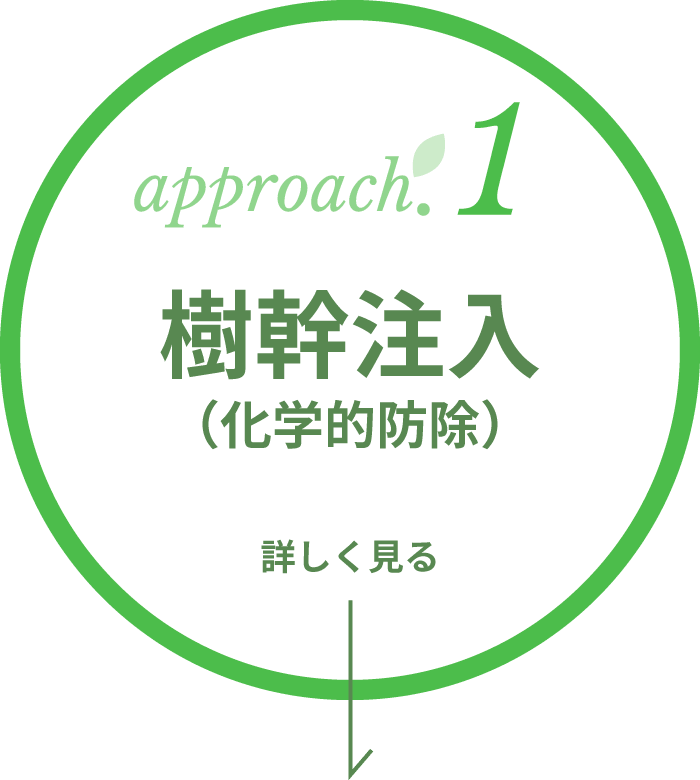 approach.1 樹幹注入（化学的防除） 詳しく見る