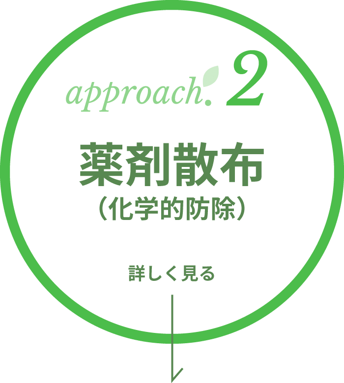 approach.2 薬剤散布（化学的防除） 詳しく見る
