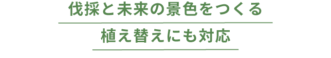 伐採と未来の景色をつくる植え替えにも対応