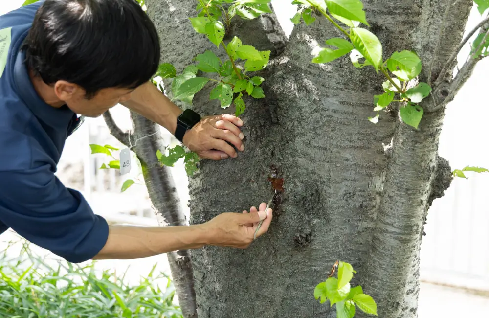 防除対策のご提案・お見積もり