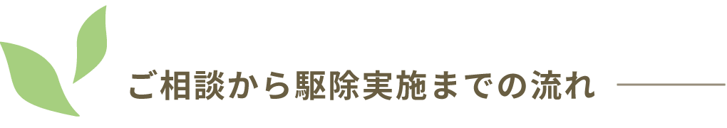 ご相談から駆除実施までの流れ