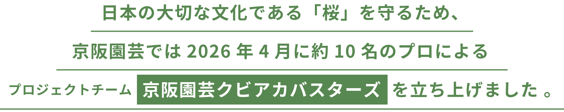 日本の大切な文化である「桜」を守るため、京阪園芸では2026年4月に約10名のプロによるプロジェクトチーム『京阪園芸クビアカバスターズ』を立ち上げました。