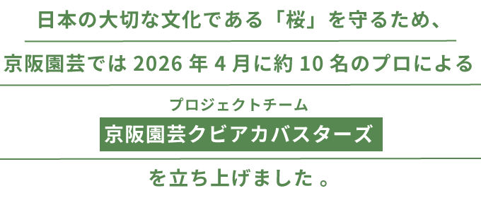 日本の大切な文化である「桜」を守るため、京阪園芸では2026年4月に約10名のプロによるプロジェクトチーム『京阪園芸クビアカバスターズ』を立ち上げました。
