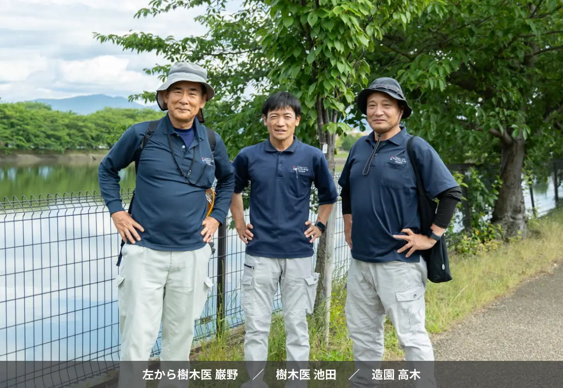 左から樹木医 巌野／樹木医 池田／造園 高木