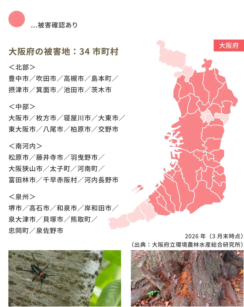 大阪府の被害地：34市町村
