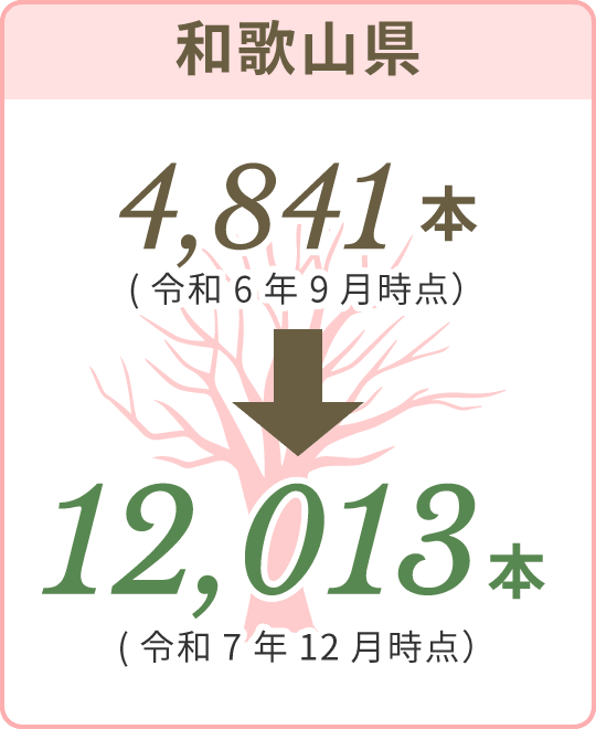 和歌山県 4,841本（令和6年9月時点）から12,013本（令和7年12月時点）