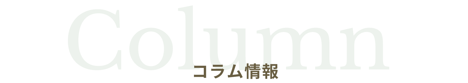 Column コラム情報
