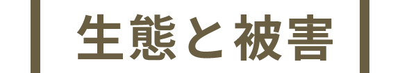 生態と被害