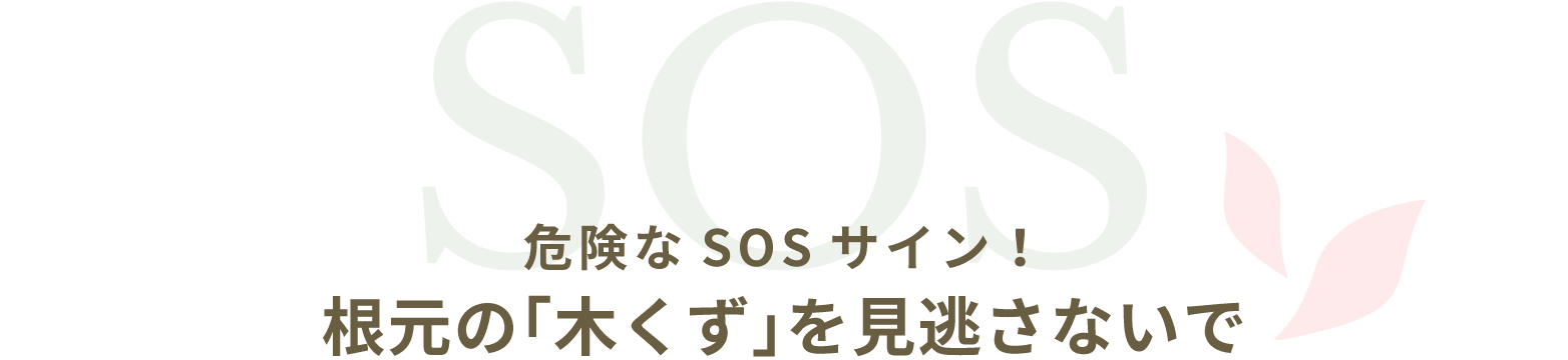 SOS 危険なSOSサイン！根元の「木くず」を見逃さないで