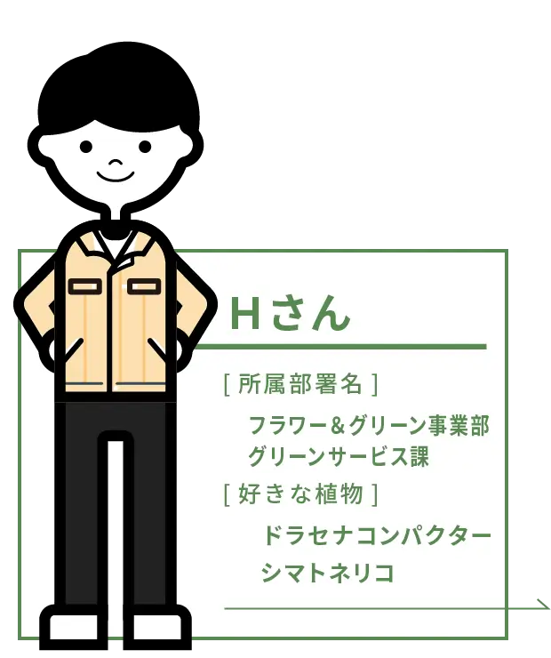 H さん フラワー＆グリーン事業部 グリーンサービス課 [好きな植物]ドラセナコンパクター、シマトネリコ