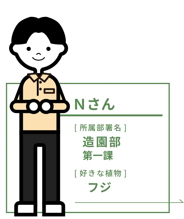 N さん 造園部第一課 [好きな植物]フジ