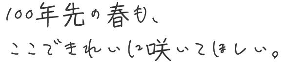 100年先の春も、ここできれいに咲いてほしい。