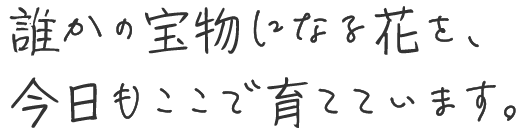 誰かの宝物になる花を、今日もここで育てています。